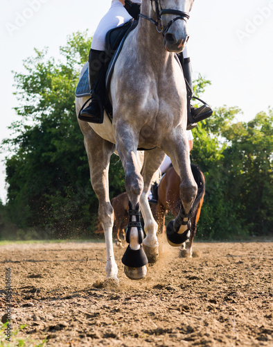 фотографія Female athlete rides a horse on open manege