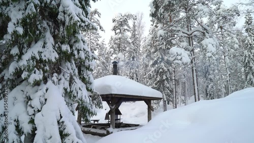 Wallpaper Mural Special public canopies place for barbecue grill and cooking always available to everyone in Nuuksio National Park, Finland Torontodigital.ca