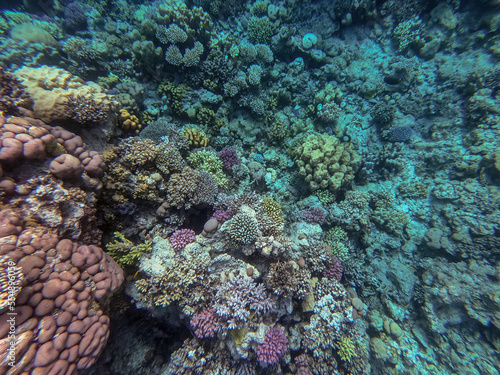 Underwater life of reef with corals and tropical fish. Coral Reef at the Red Sea, Egypt.