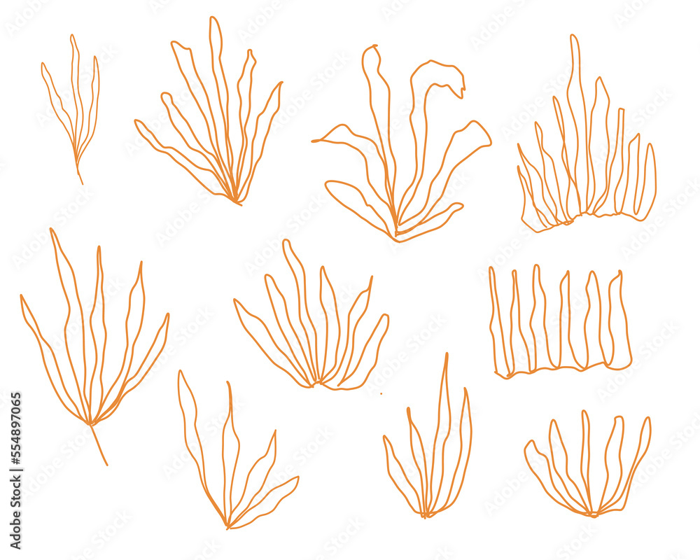 Fototapeta premium hand drawn decorative leaf pattern vector design