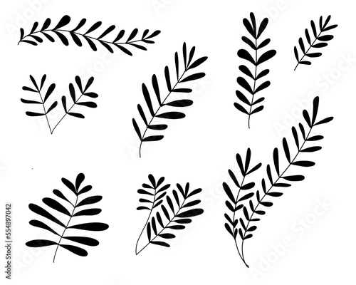 hand drawn decorative leaf pattern vector design