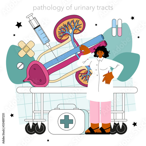 Urologist concept. Urinary system examination, kidney and bladder