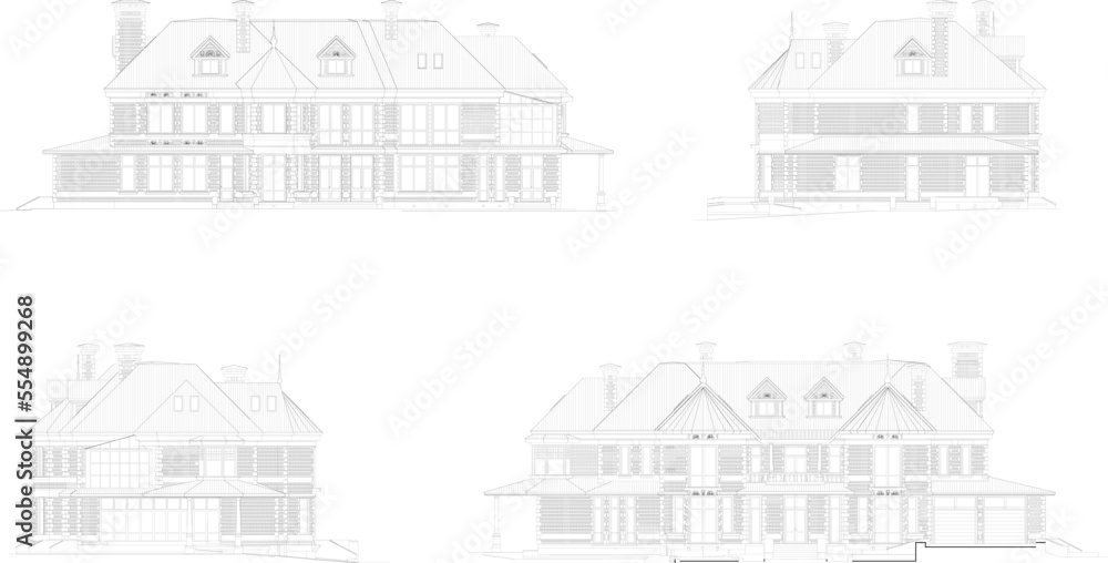 VECTOR DESIGN a magnificent villa like a black and white palace