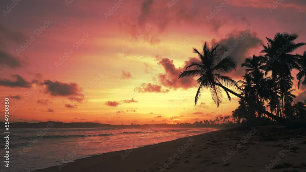 Evening on the beach. Silhouettes of palm trees and beautiful orange sky after sunset