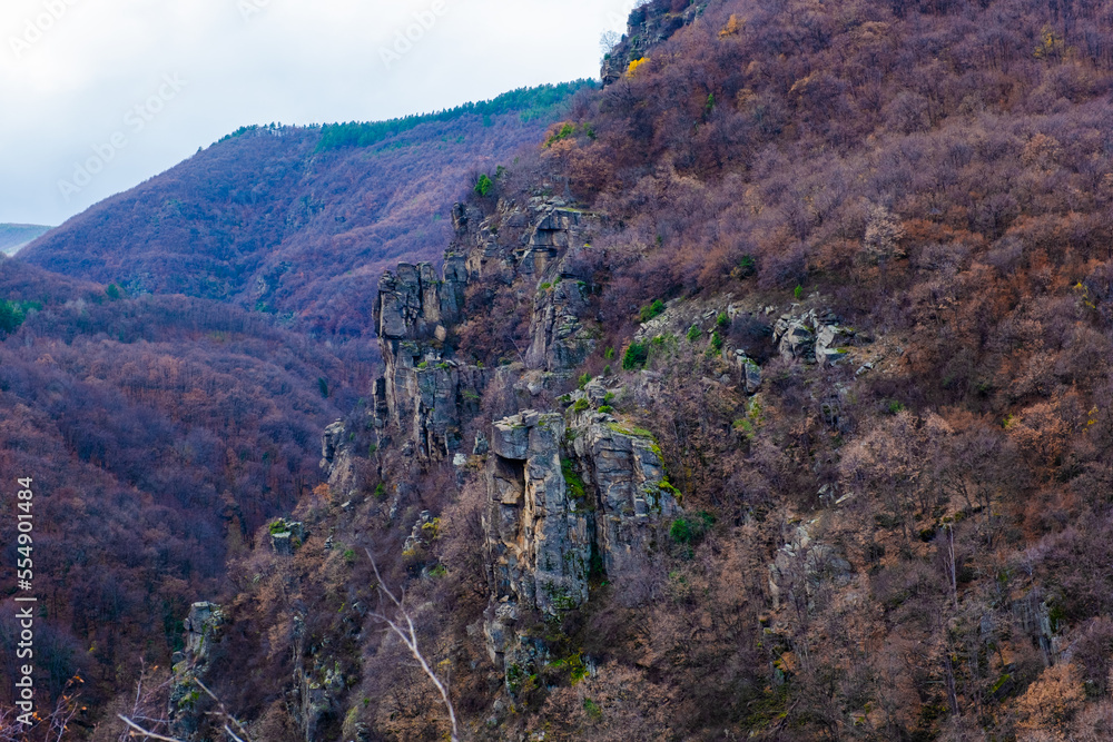 Amazing view of Magnificent autumn carpet in The Rhodope mountains