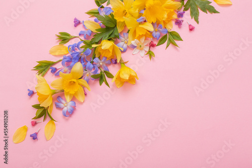 spring flowers on pink papper background
