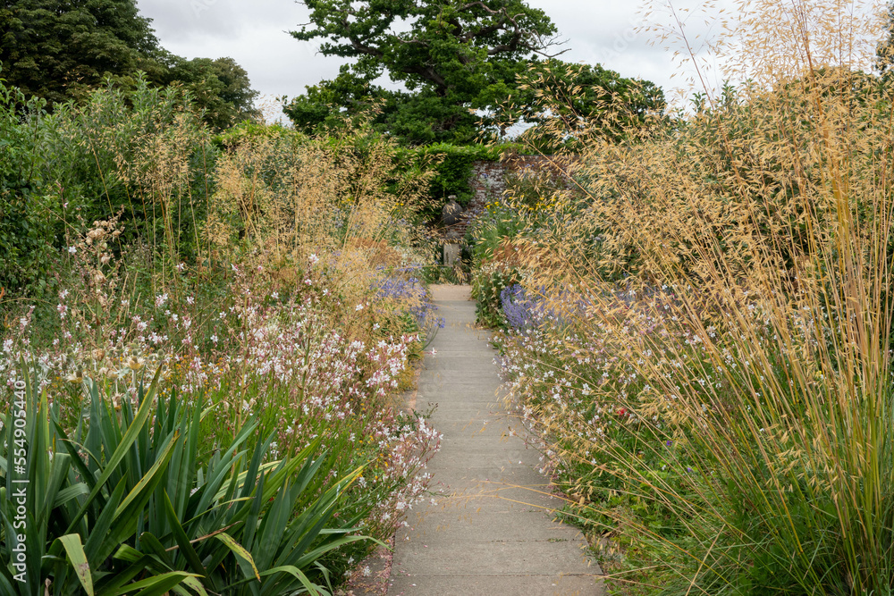footpath through a garden with plants and flowers on both sides footpath through a garden with plants and flowers on both sides