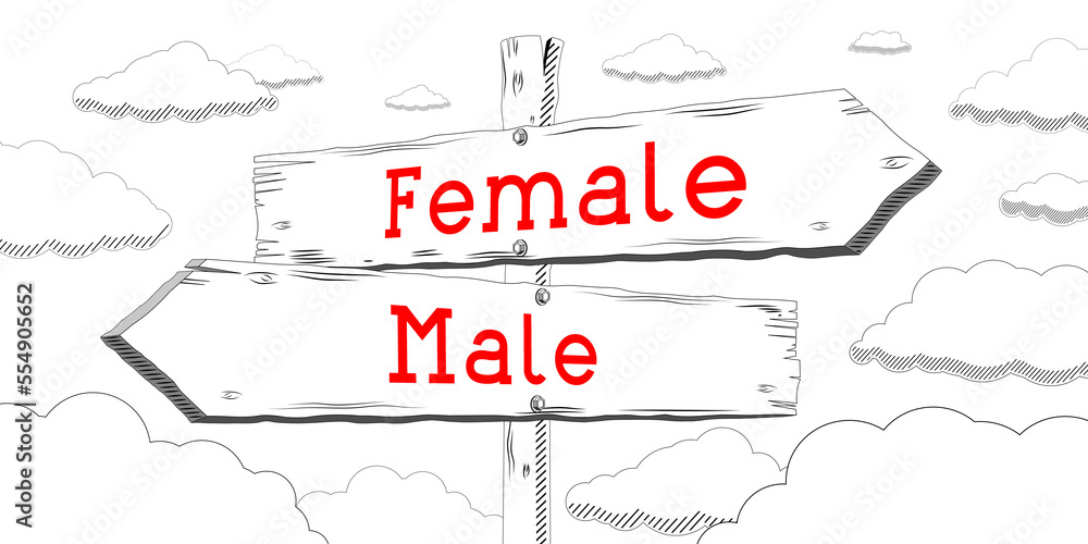 Male and female - outline signpost with two arrows