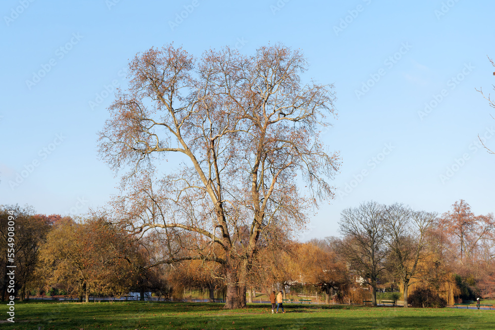 Vincennes wood in the 12th arrondissement of Paris city Vincennes wood in the 12th arrondissement of Paris city