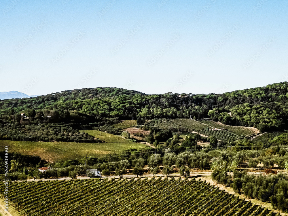 Landscape of the Tuscan vineyards, Italy