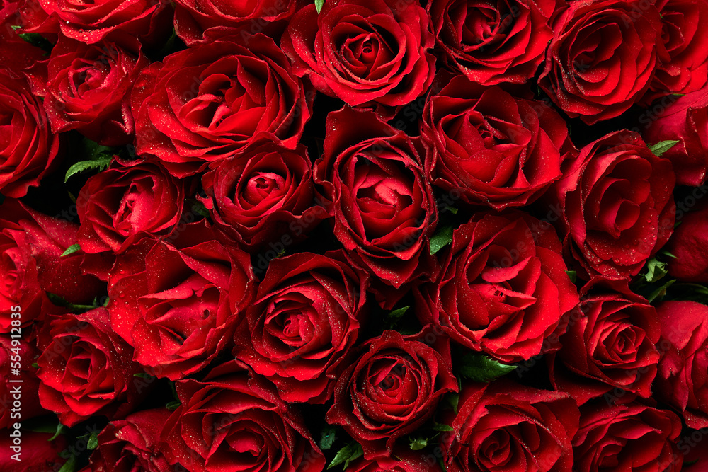 Texture of bouquet of red roses flowers Texture of bouquet of red roses flowers