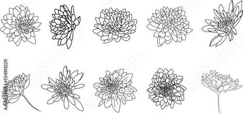 set of hand drawn flowers. chrysanthemum set. Flowers line art.  photo