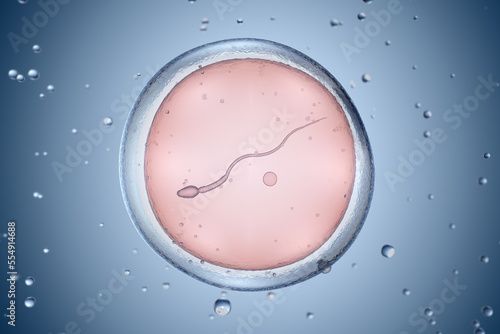 Cuadro en lienzo Artificial insemination or in vitro fertilization