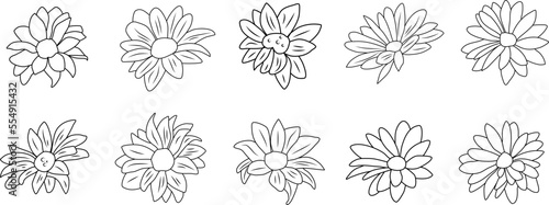 set of hand drawn flowers. chrysanthemum set. Flowers line art. Flowers chrysanthemum vector. 