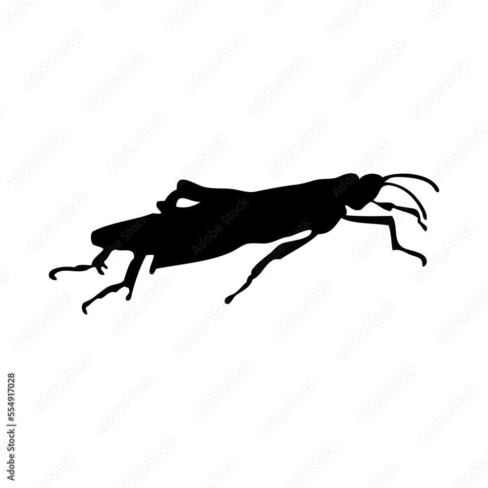 Obraz premium Grasshopper Silhouette