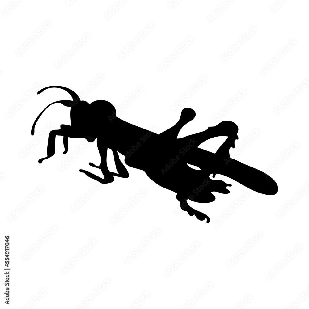 Fototapeta premium Grasshopper Silhouette