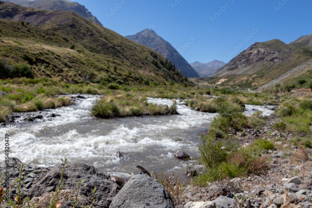 Landscape at Paso Vergara - crossing the border from Chile to Argentina while traveling South America Landscape at Paso Vergara - crossing the border from Chile to Argentina while traveling South America