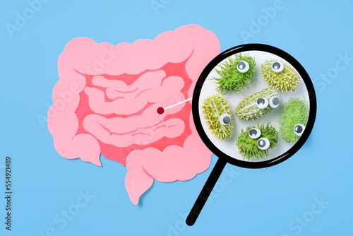 Decorative intestine and magnifying glass showing harmful bacteria inside the intestine. The concept of probiotics and prebiotics for the microbiome, intestinal check-up for cancer, top view. photo