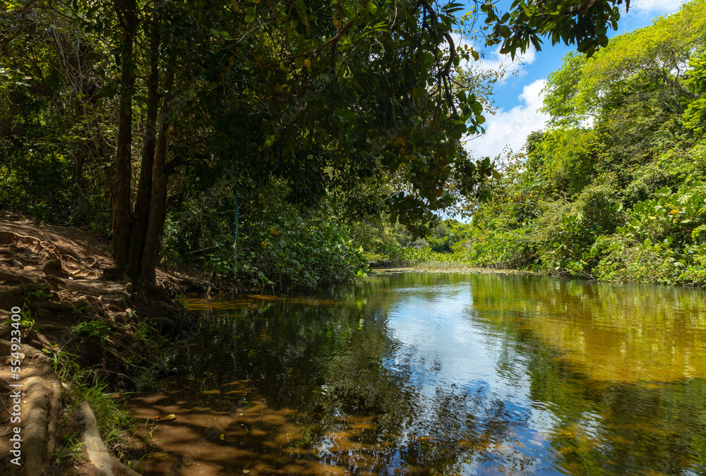 Calm landscape of a tropical river during a sunny day. Calm landscape of a tropical river during a sunny day.