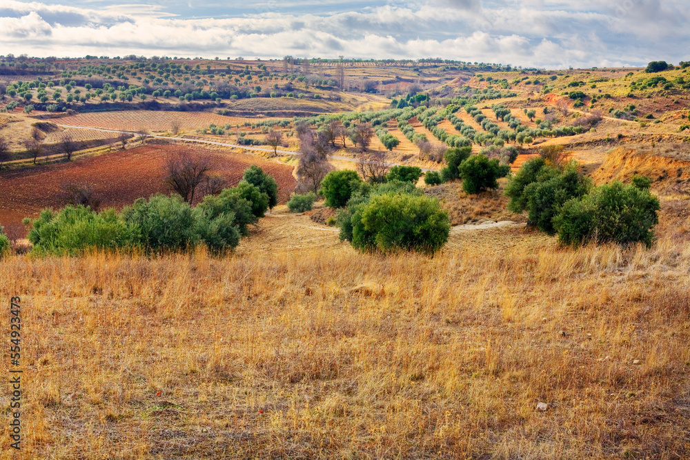 Naklejka premium Campos de Valdelaguna.