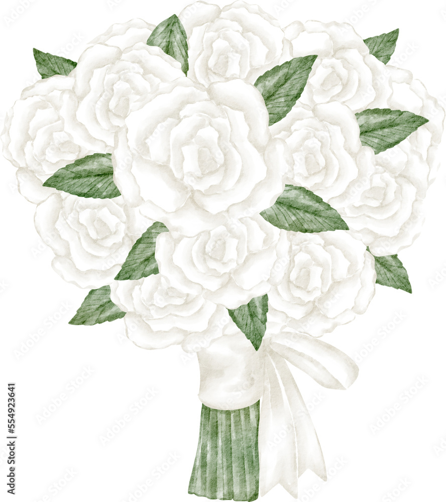 watercolor white rose Stock Illustration | Adobe Stock