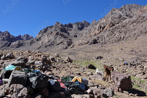 La grande traversée de l’Atlas au Maroc, 18 jours de marche. Camp de base du Toubkal au petit matin