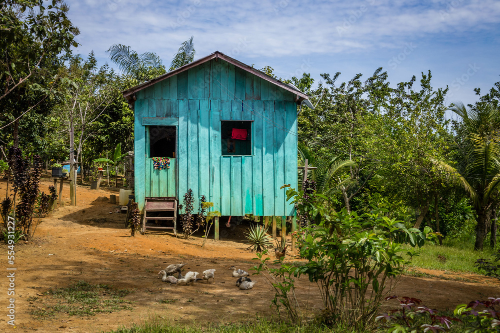 blue house