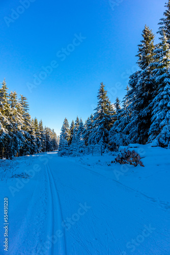 Sch  ne Winterlandschaft auf den H  hen des Th  ringer Waldes bei Oberhof - Th  ringen