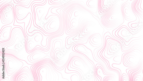 Abstract white and pink topography vector background. Line topography white and pink map design. The concept of conditional geographical pattern and topography.	