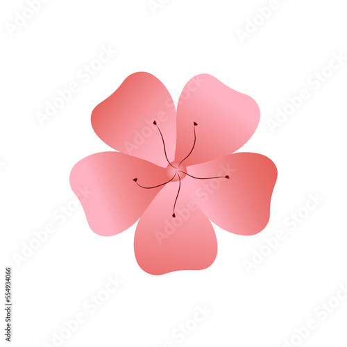 Flower, sakura pink. Doodle, lineart element. Vector Illustration. © Ksyusha Marysheva
