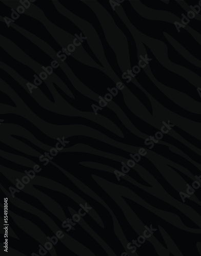 Zebra pattern seamless animal print, vector texture, trendy design.