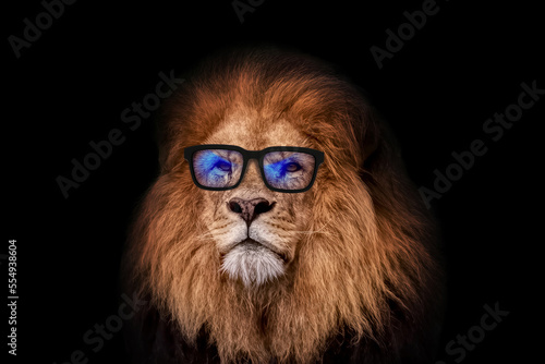 Business handsome lion hipster with new trendy glasses with blue lenses on a black background. Leader and management, creative idea