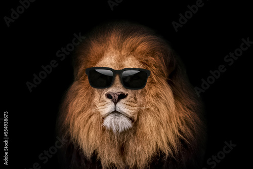 Cool handsome hipster lion in fashion sunglasses on a black background. Leader, creative idea