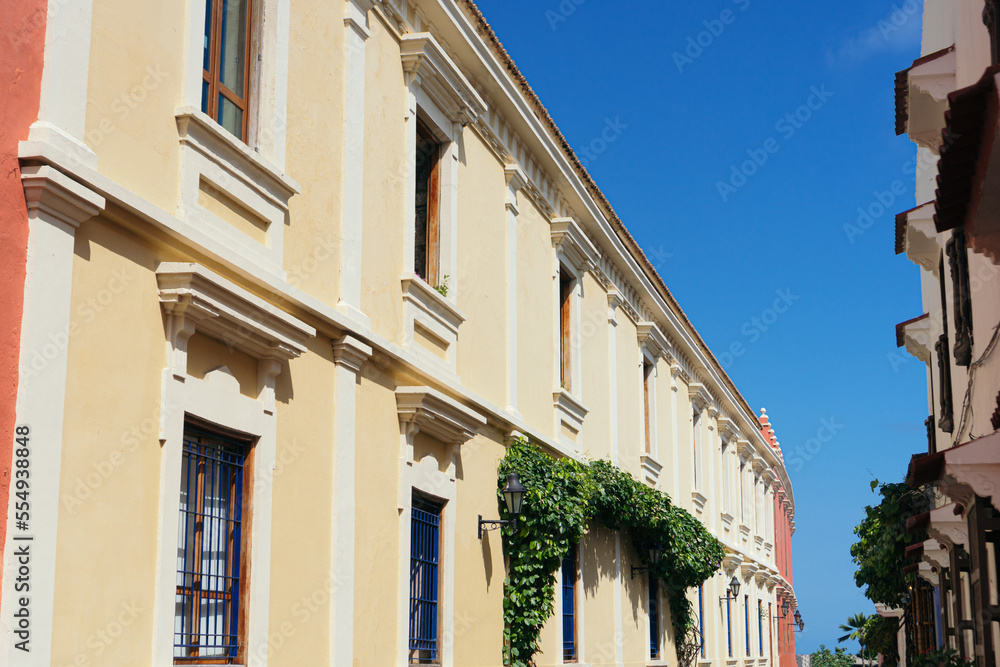 Traditional windows and green plant in Cartagena. Architectural and exterior design details. Beautiful house