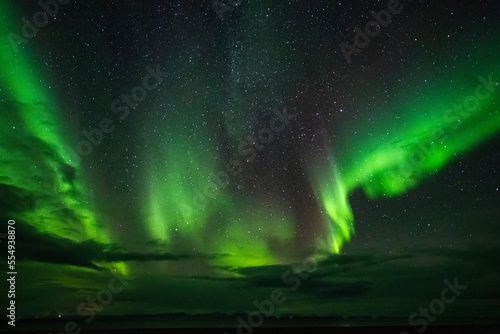 Aurora borealis with sheets of bright green light fluttering across the night sky; Iceland