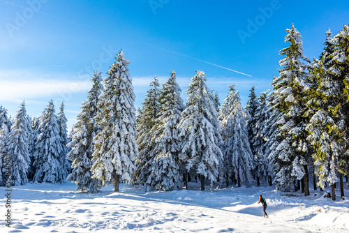 Schöne Winterlandschaft auf den Höhen des Thüringer Waldes bei Oberhof - Thüringen photo