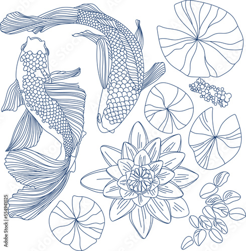 Set of vector lotus flowers and goldfish blue on white