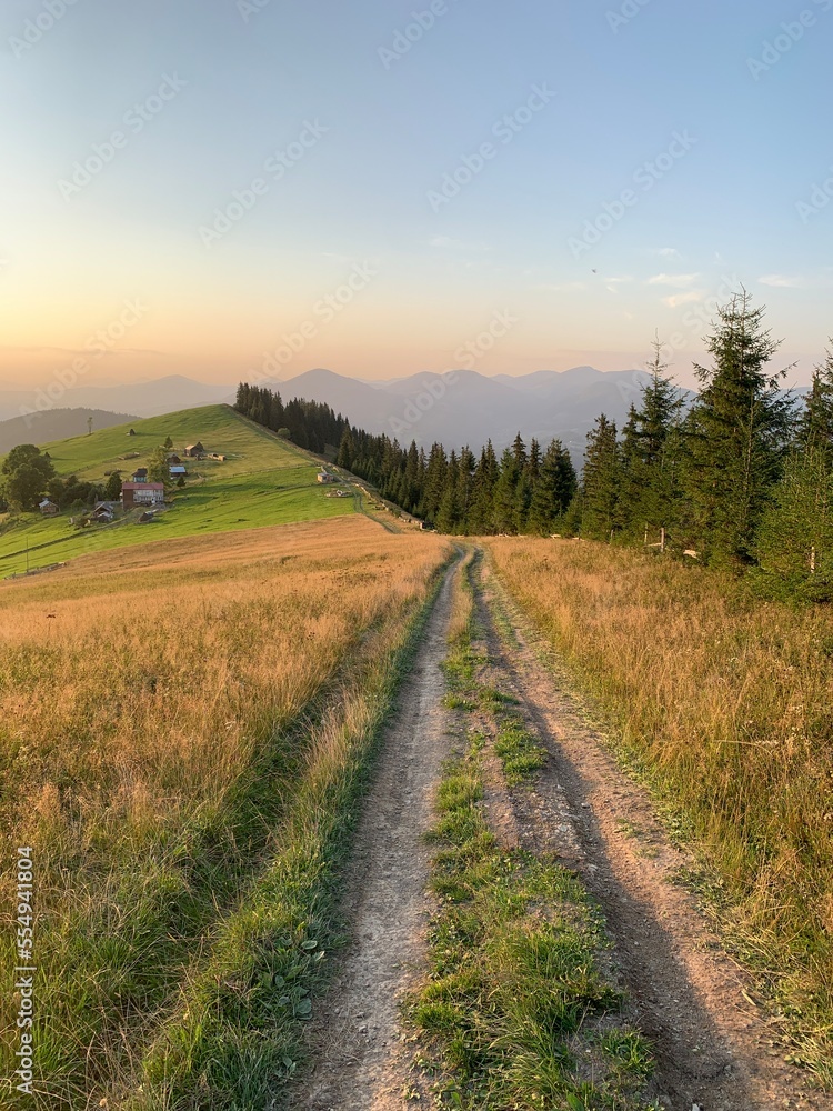Field road on the mountain near the forest. Carpathian mountains in a summer evening, view into the distance. Mountain range at sunset.