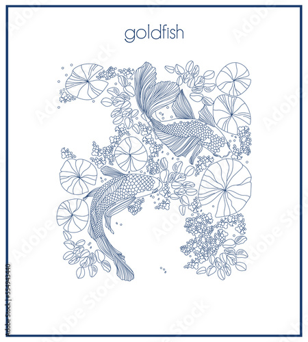 Poster lotus flowers and goldfish blue on white