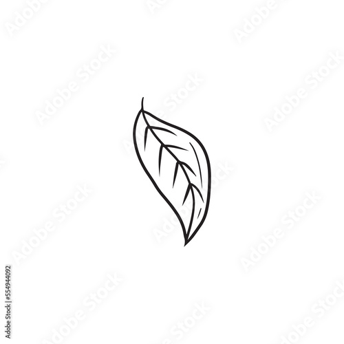 Tangerine leaf in black isolated on white background. Hand drawn vector sketch illustration in doodle vintage engraved style. Citrus tree leaf, autumn season, falling, plum, orange, lemon.