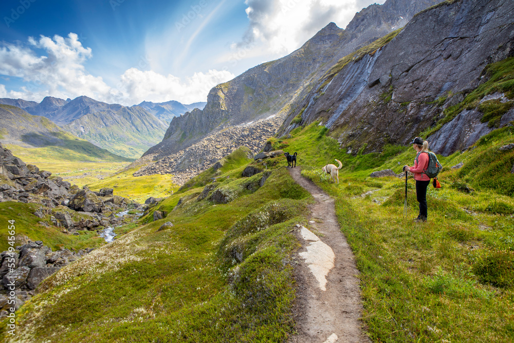 A woman hiking with her two dogs, stops off trail to take in the view of Archangel Valley and the Talkeetna Mountains at Hatcher Pass on a sunny, blue sky, summer day; Alaska, United States of America A woman hiking with her two dogs, stops off trail to take in the view of Archangel Valley and the Talkeetna Mountains at Hatcher Pass on a sunny, blue sky, summer day; Alaska, United States of America