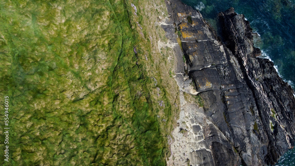 Dense thickets of grass on the shore. Grass-covered rocks on the Atlantic Ocean coast. Nature of Ireland, top view. Aerial photo. Drone point of view.