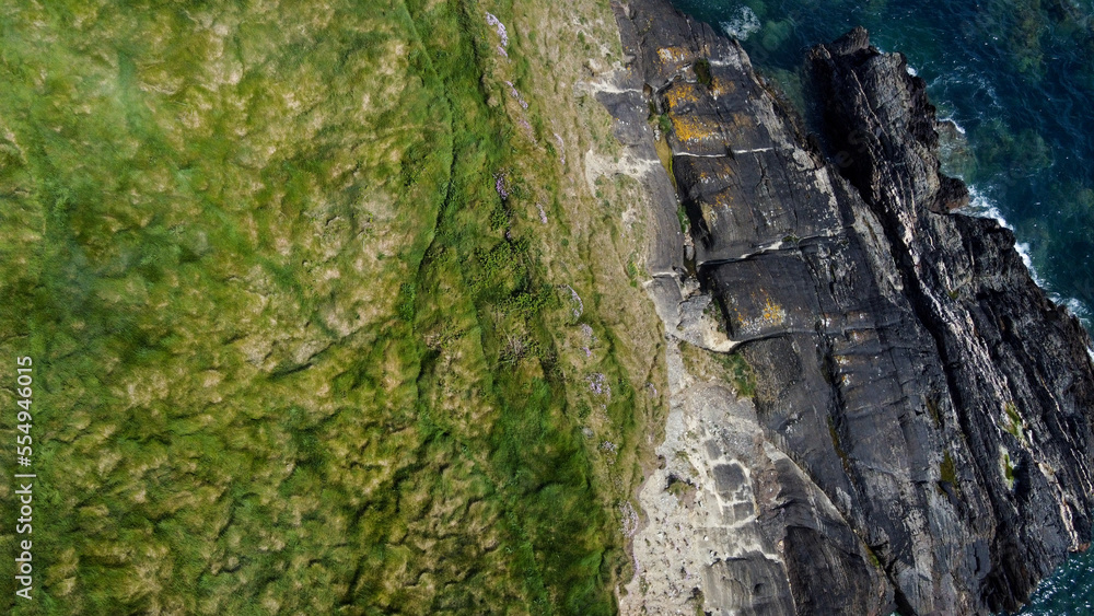 Dense thickets of grass on the shore. Grass-covered rocks on the Atlantic Ocean coast. Nature of Ireland, top view. Aerial photo. Drone point of view. Dense thickets of grass on the shore. Grass-covered rocks on the Atlantic Ocean coast. Nature of Ireland, top view. Aerial photo. Drone point of view.