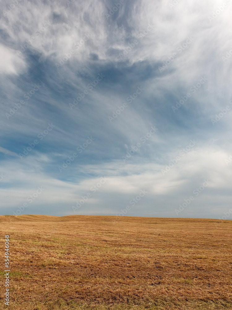 Beautiful sky with cirrus clouds over farmlands. Agricultural field with stubble. Landscape.