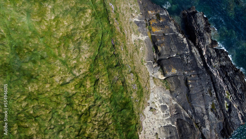 Dense thickets of grass on the shore. Grass-covered rocks on the Atlantic Ocean coast. Nature of Ireland, top view. Aerial photo. Drone point of view.