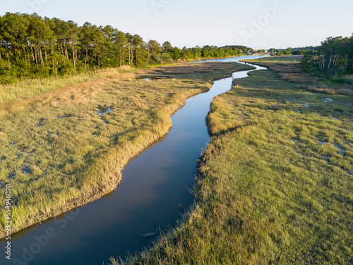 Salt marsh, creek and loblolly pine trees near the Chesapeake Bay.; Hampton, Fox Hill - Grandview, VA, USA photo