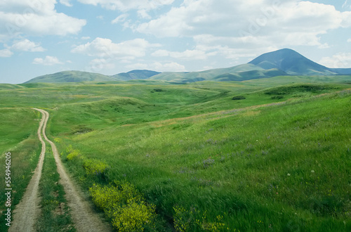 Tracks through rolling meadowland of the Sweet Grass Hills.; Sweet Grass Hills, Montana. photo