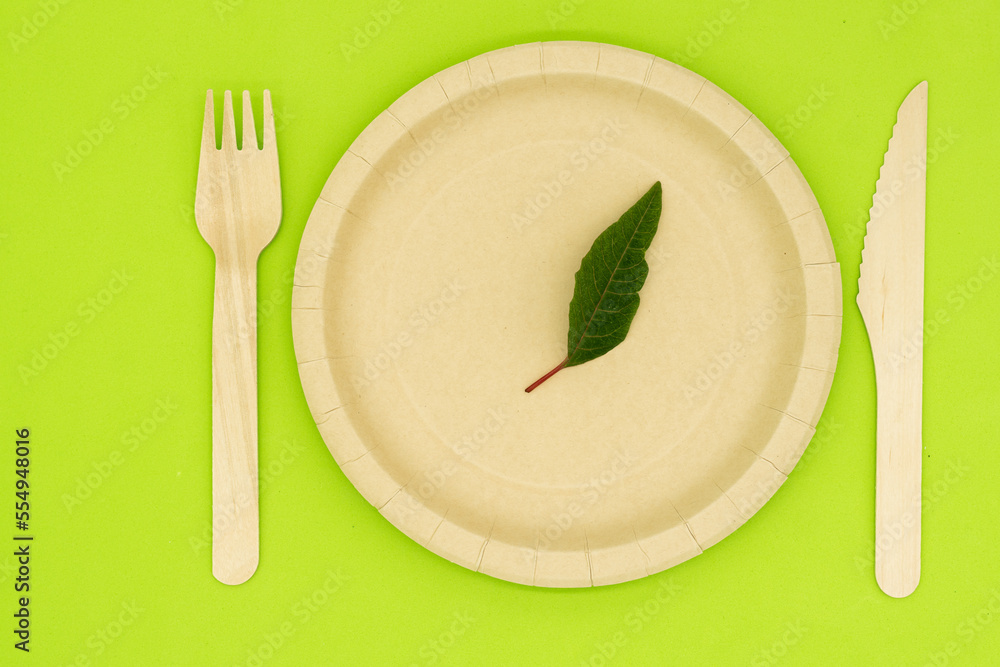 Ecological plates, fork, knife and glass, ecofriendly, composting