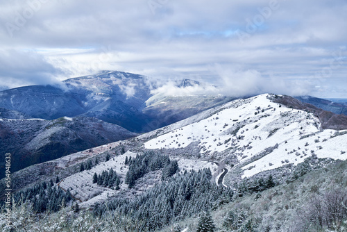 Snowy high mountain landscape with snow-covered trees.