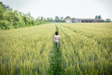 back view of girl with short hair in pink top walks away in wheat field